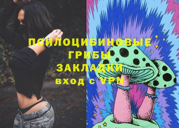 прущий лед Бронницы