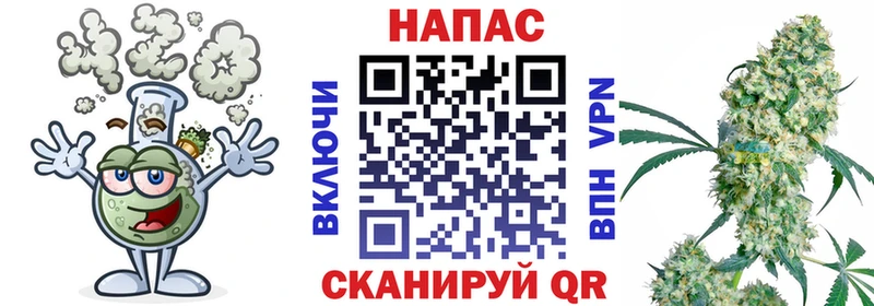 МАРИХУАНА гибрид Южно-Сухокумск